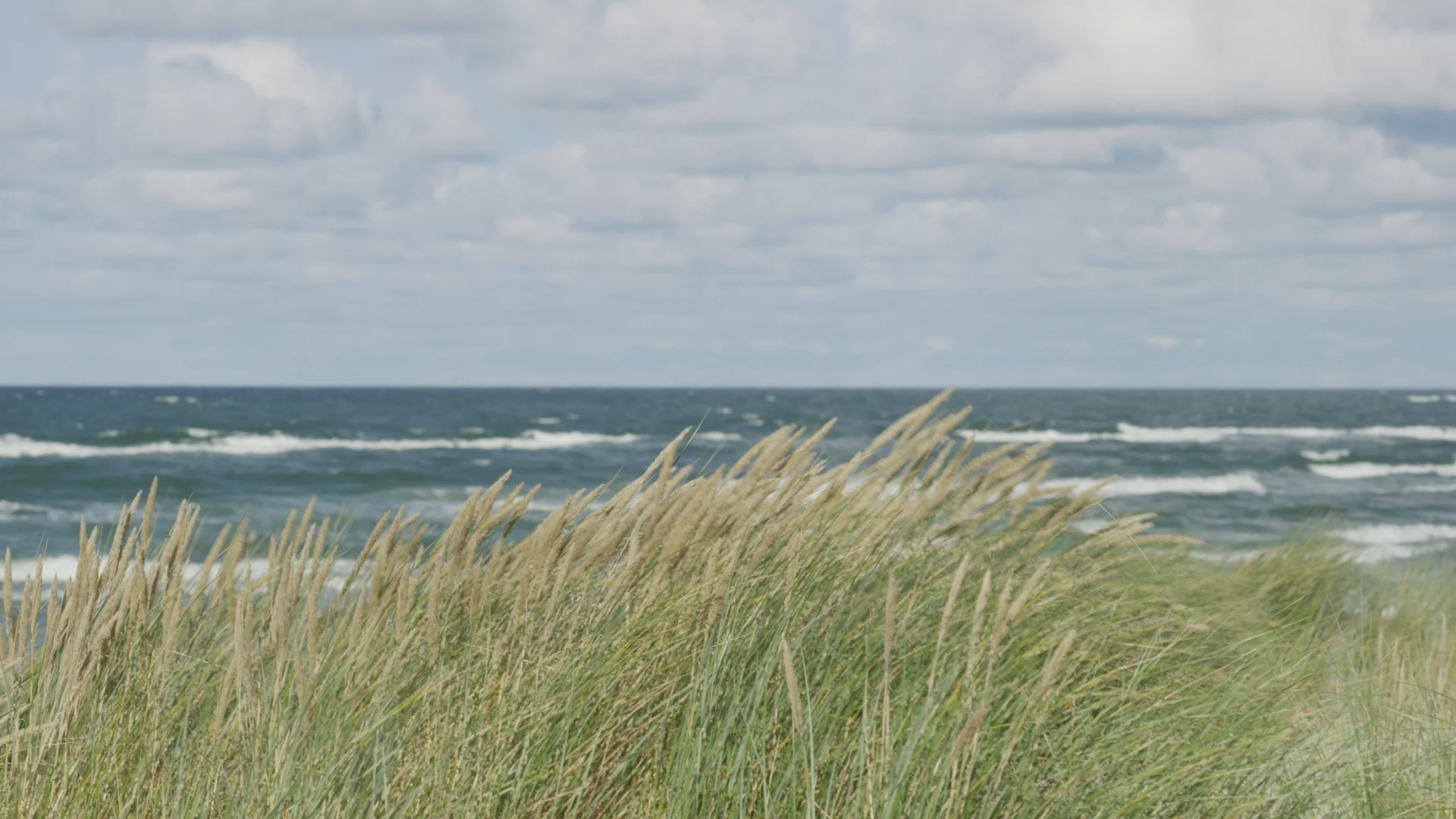 Image avant étalonnage — Bord de mer
